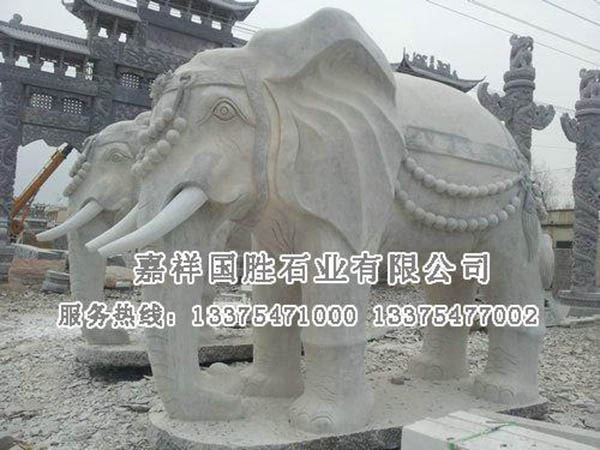 大象.jpg