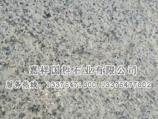 芝麻白5.jpg